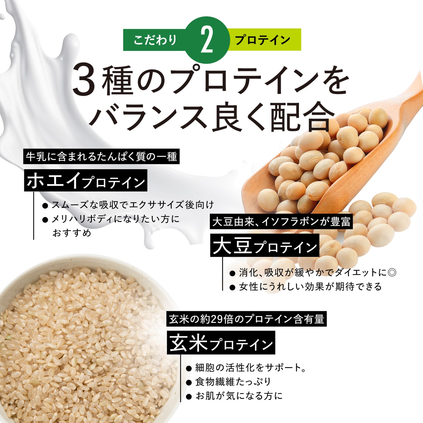 モリンガ＆プロテインダイエット（14包入り）【単品ご購入】