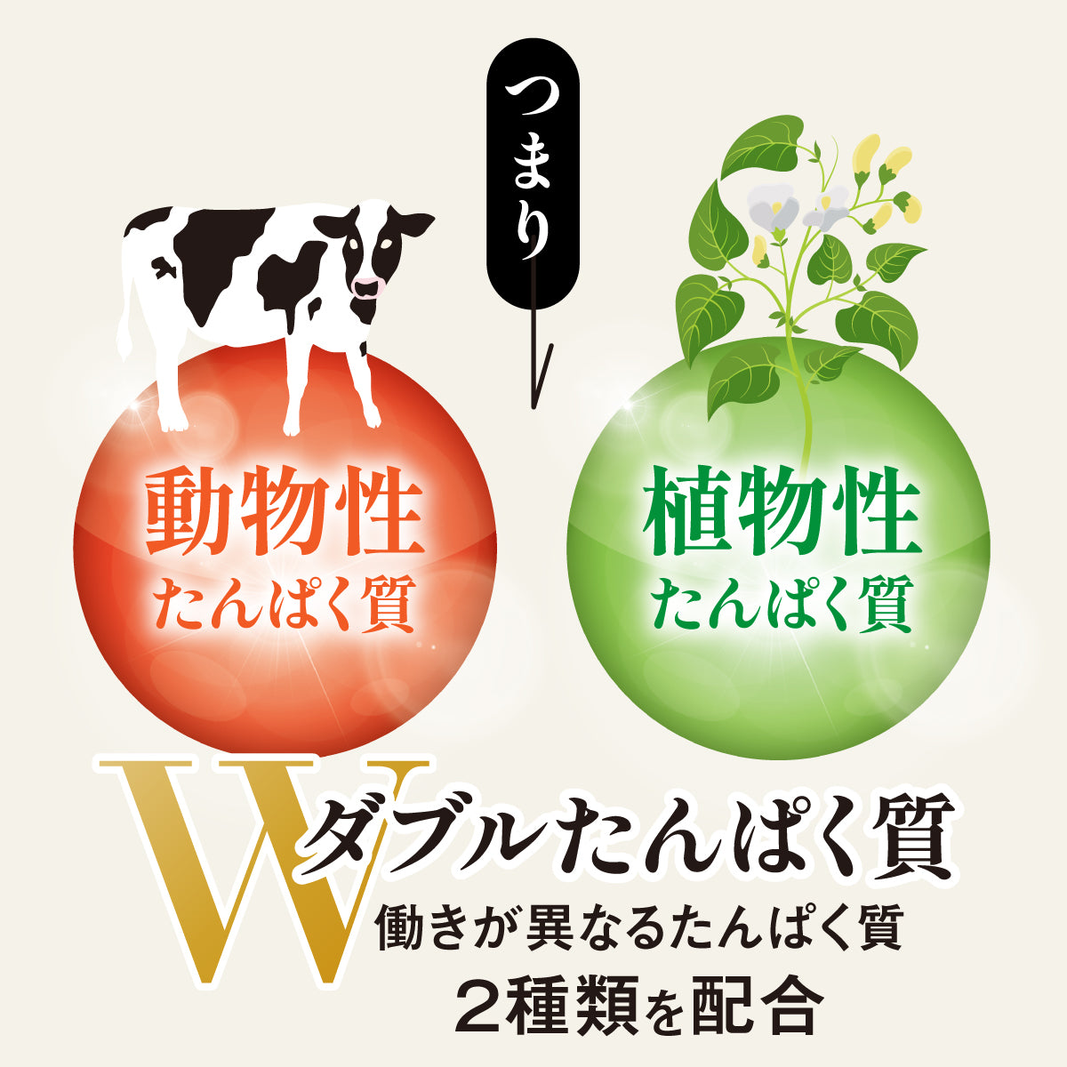 【優待チケットをお持ちの方限定！】【実感セット ３か月】モリンガ＆プロテインダイエット（15包入り×6箱）